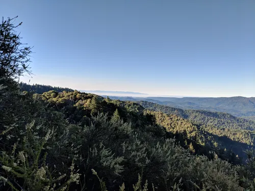 10 Best Hikes and Trails in Castle Rock State Park AllTrails