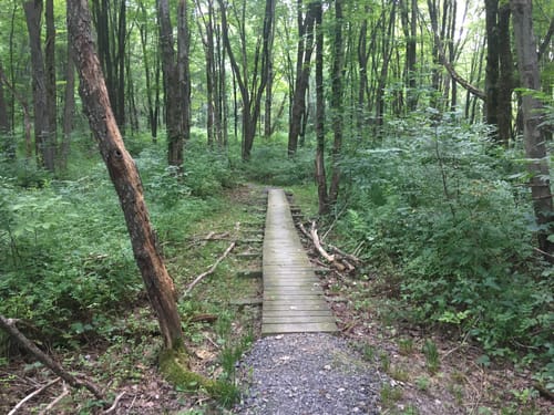 Moraine State Park Hiking Best 10 Trails In Moraine State Park | Alltrails