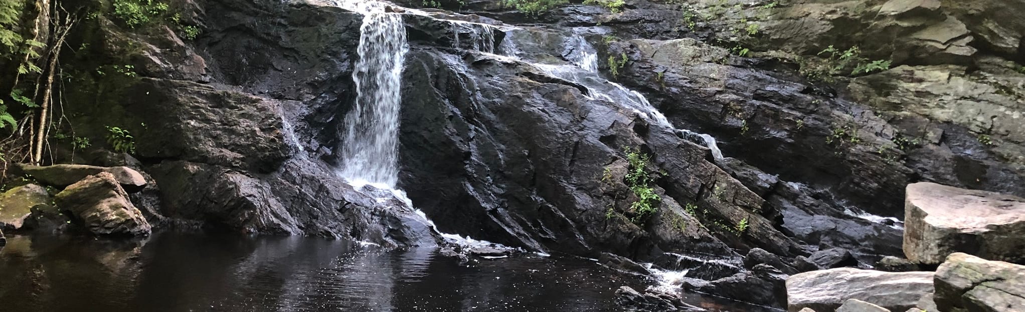 Upland Trail Loop 112 Reviews, Map New Hampshire AllTrails