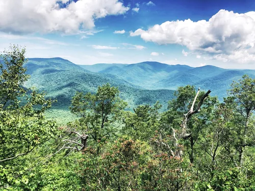 Old Rag Mountain via Weakley Hollow Fire Road, Virginia - 443 Reviews, Map