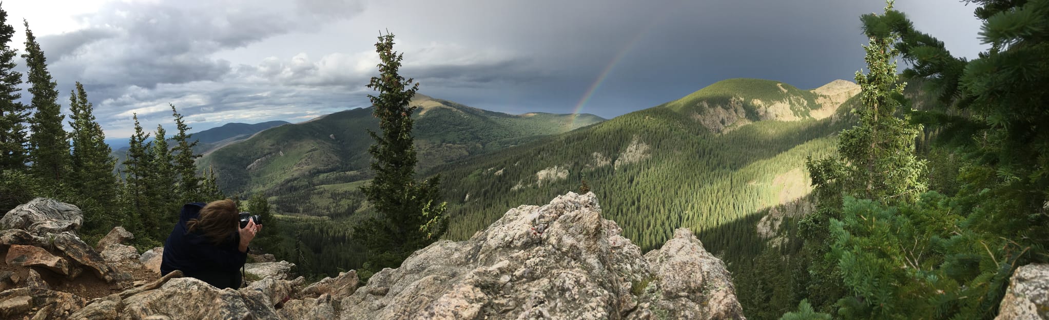 Raven's Ridge Trail, New Mexico - 659 Reviews, Map | AllTrails