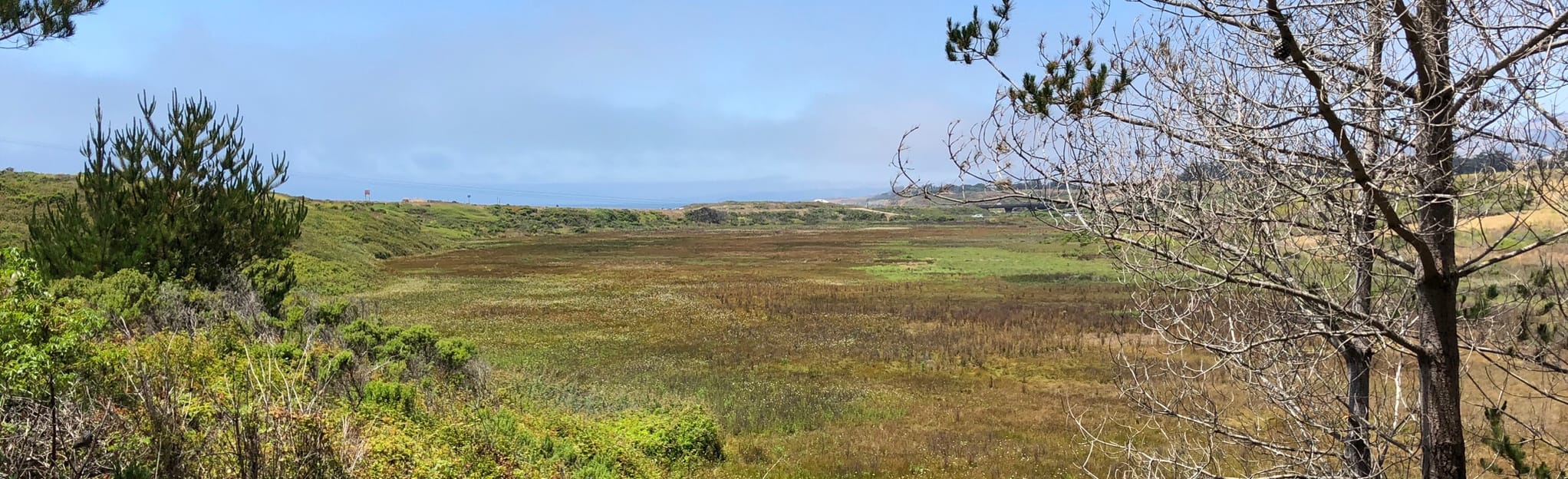 San Simeon Trail to Washburn Campground Loop 279 Reviews, Map