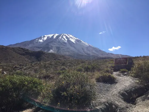 Arequipa : les 10 meilleures randonnées pour l'observation d'oiseaux