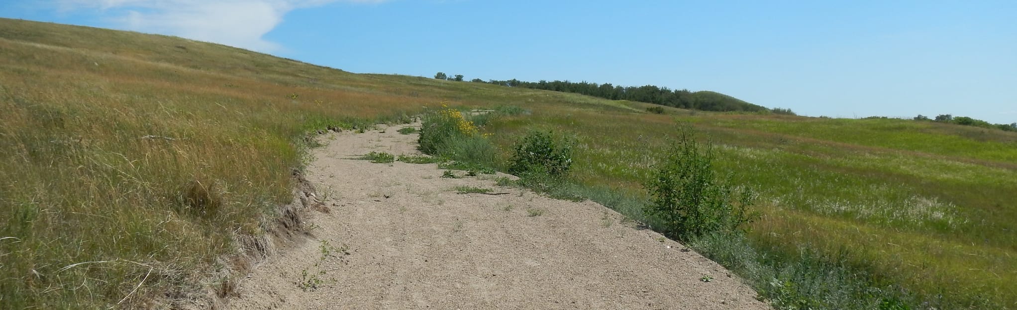 Blackstrap Lake Shorline Trail , Saskatchewan, Canada 13 Reviews, Map
