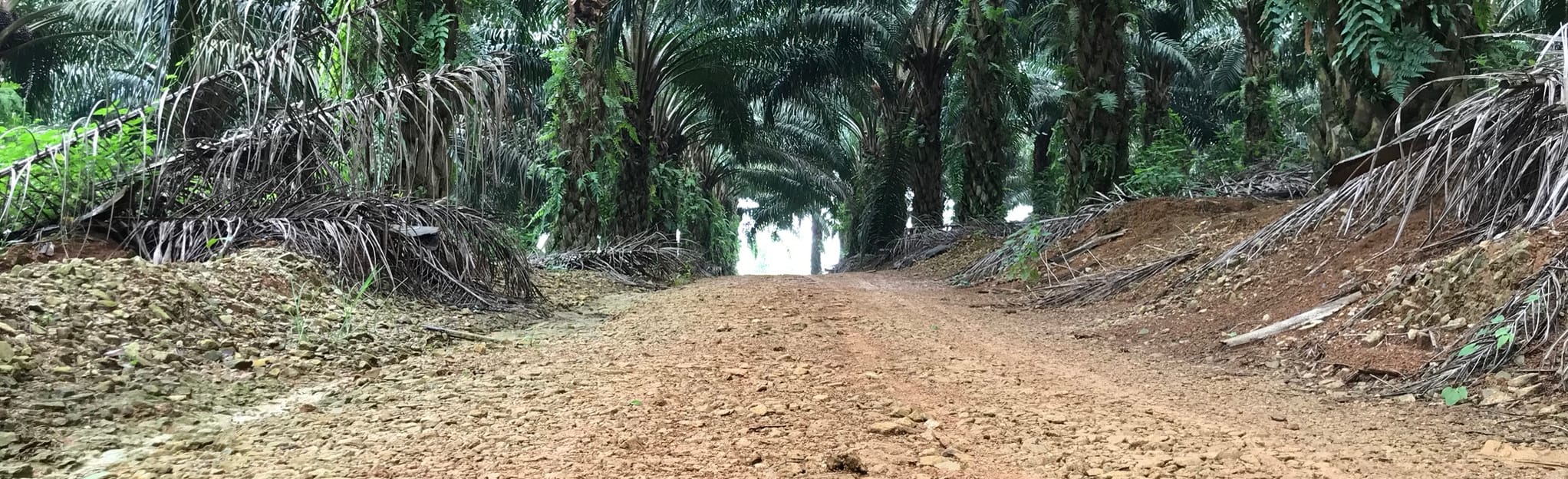 Bukit Kijang via Indahpura 13 Fotos Johor, Malaysia AllTrails
