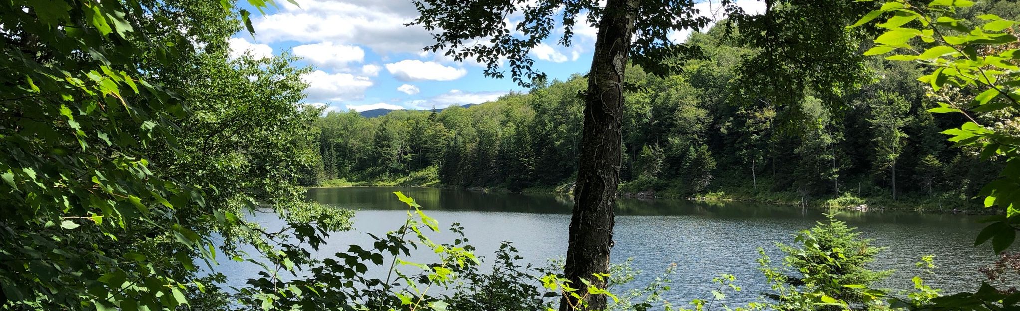 Devil's Gulch via Long and Babcock Trail: 237 Reviews, Map - Vermont ...