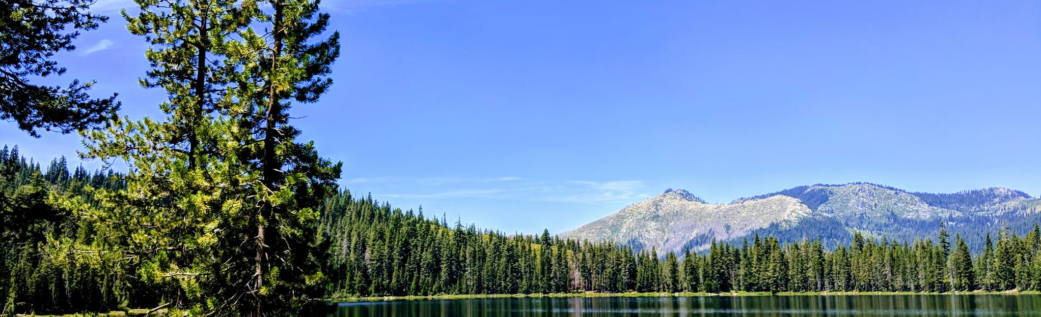 Stoddard Lake, California 88 Reviews, Map AllTrails