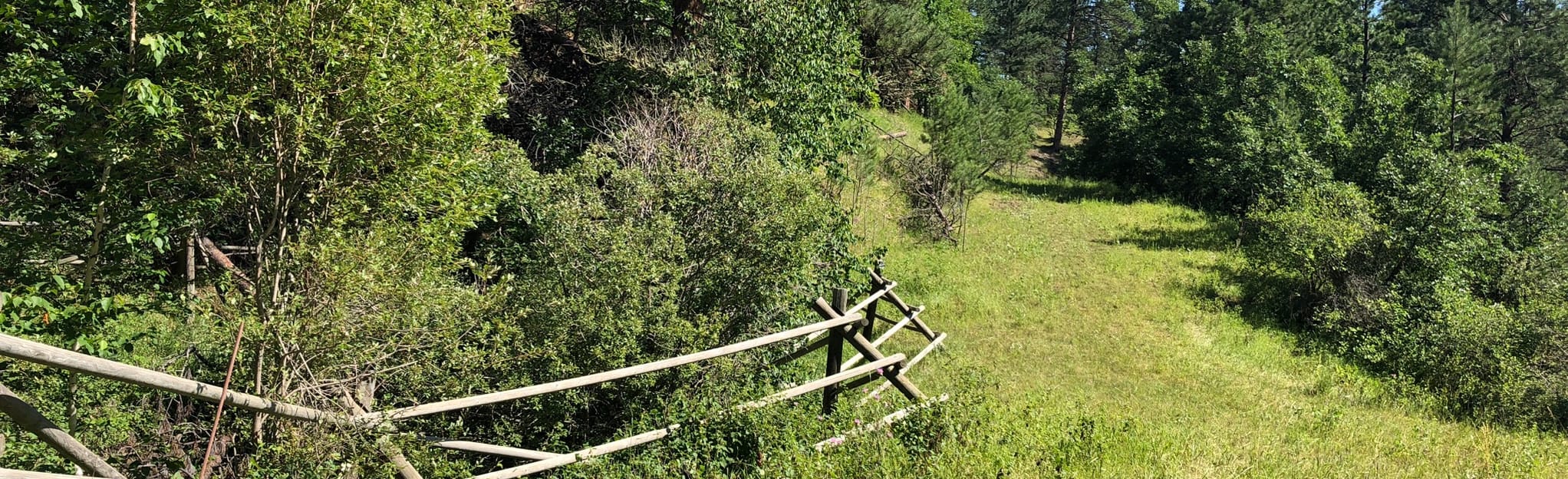 Dugout Gulch Botanical Trail, 57 Fotos - Wyoming | AllTrails