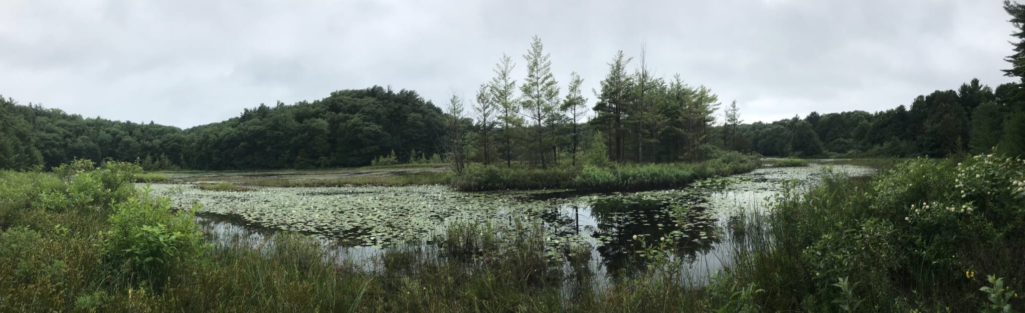 Lost Lake Trail, Michigan - 307 Reviews, Map | AllTrails