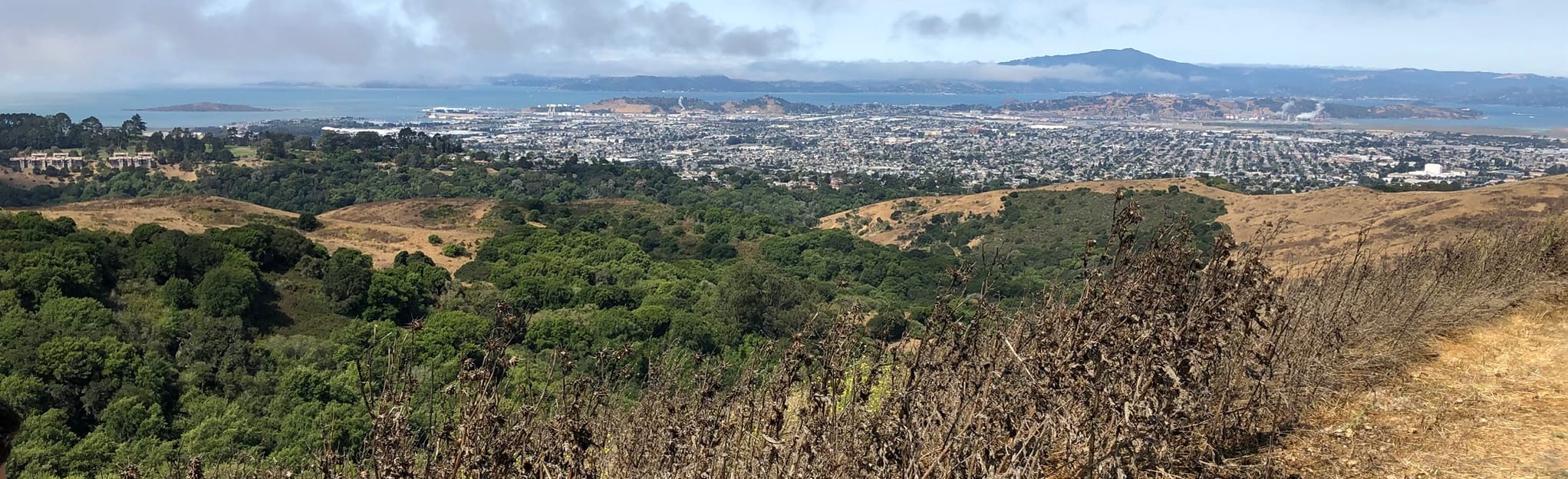 San Pablo Ridge Trail via Clark Boas Trail 1.227 foto's California
