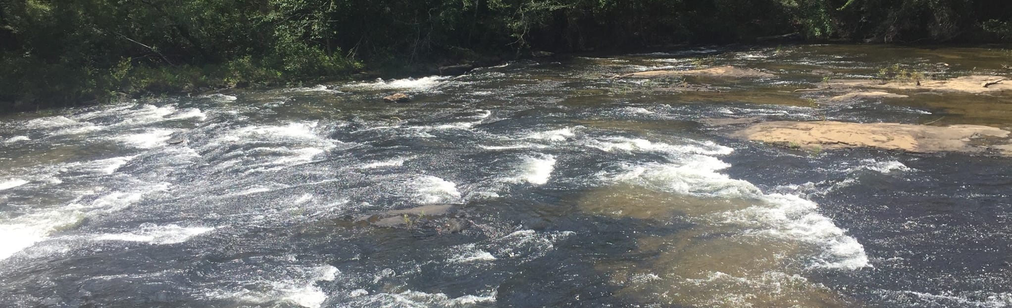 Horseshoe Falls Trail 16 Reviews, Map AllTrails