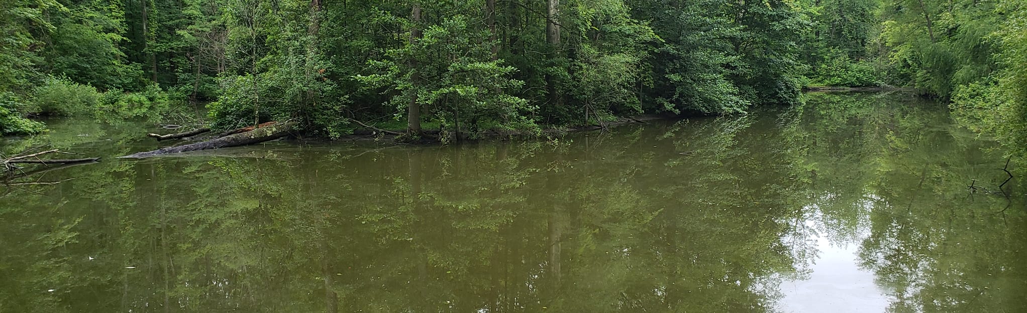 Bunns Lake Loop Ohio AllTrails