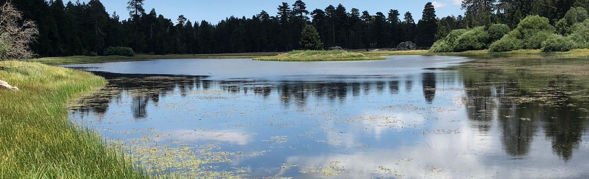 Bluff Lake Reserve Loop California AllTrails