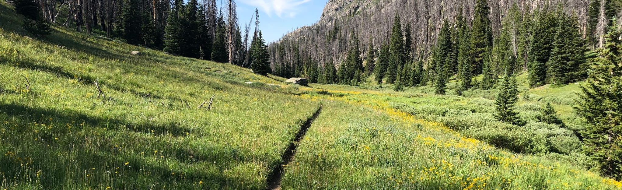Trapper Lake Stock Trail, Wyoming 7 Reviews, Map AllTrails