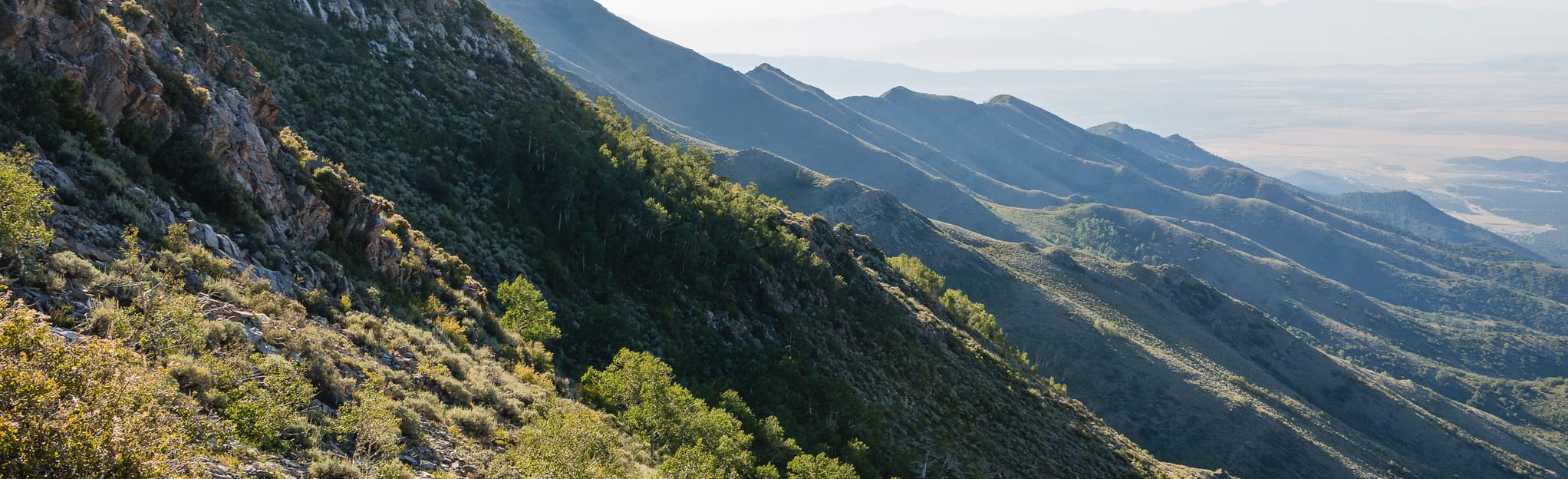 Flat Top Mountain, Utah 61 Reviews, Map AllTrails