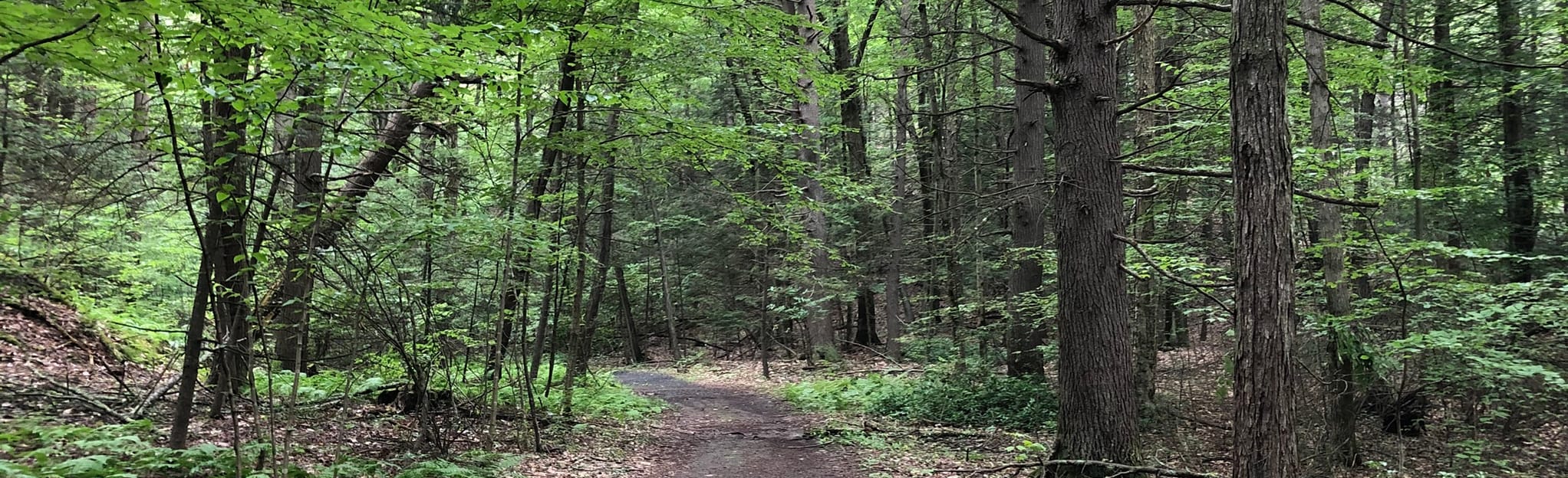 AllTrails Keystone Extension Loop via Quarry Trail 198 Reviews, Map