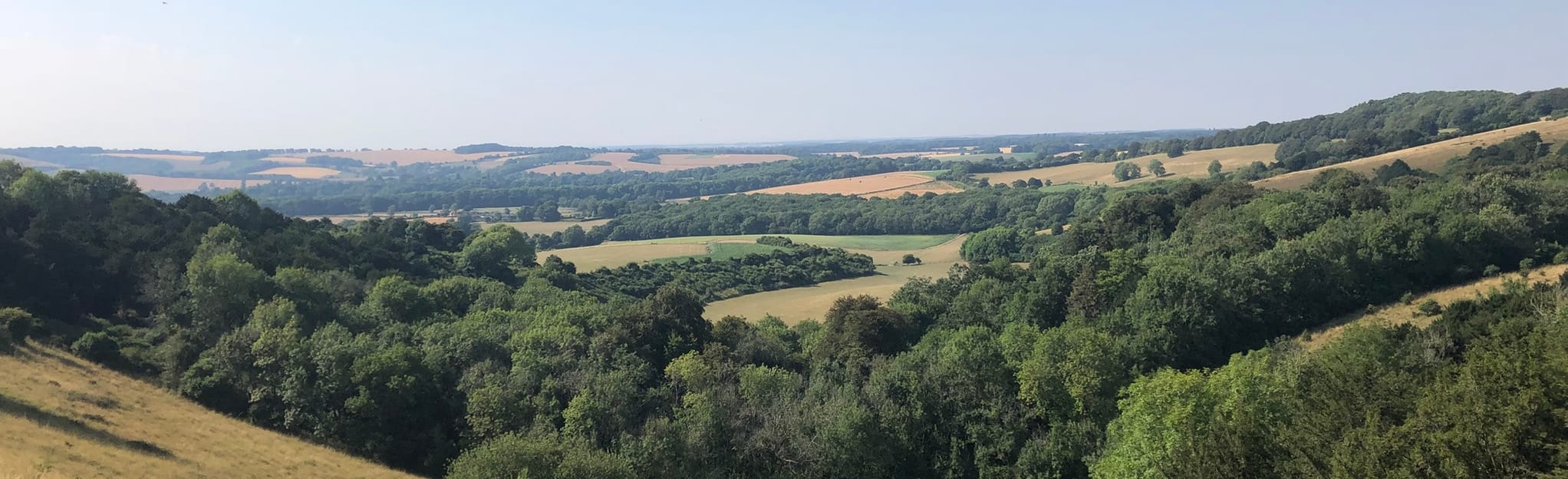 Butser Hill, Old Winchester Hill Circular, Hampshire, England 114