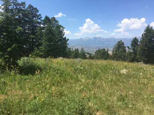I migliori luoghi di campeggio in Bridger-Teton National Forest ...