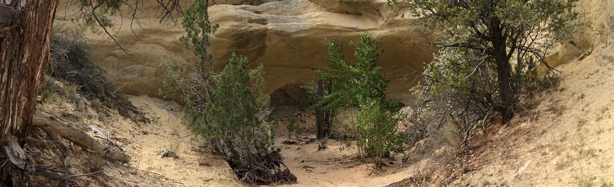 Covered Wagon Natural Bridge Trail, Utah 116 Reviews, Map AllTrails