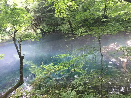 eyJidWNrZXQiOiJhc3NldHMuYWxsdH