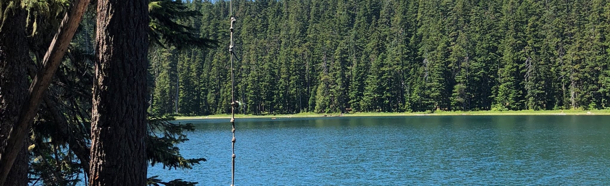 Frog Lake Trail to Frog Butte Trail 124 Reviews, Map Oregon AllTrails