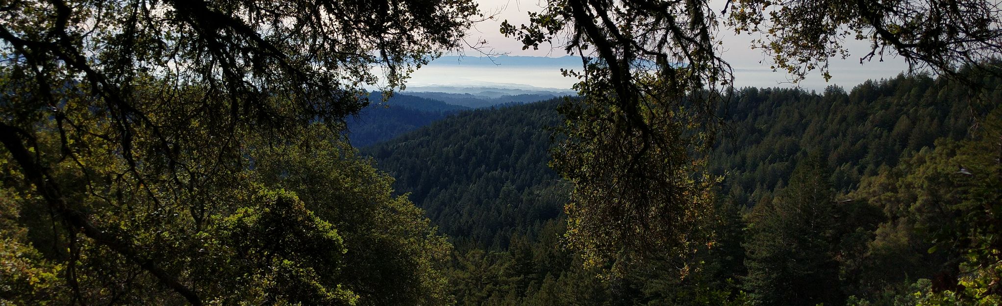 soquel demonstration forest trail map