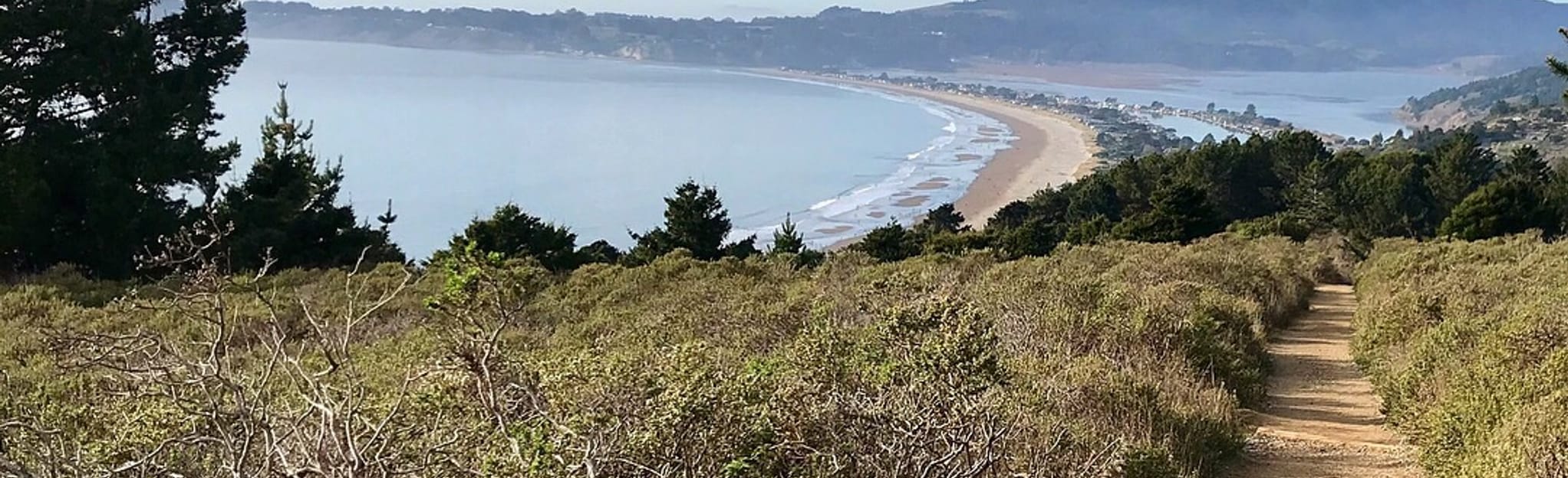 Stinson Beach to Mountain Home Inn via Dipsea and Matt Davis Trail 18.