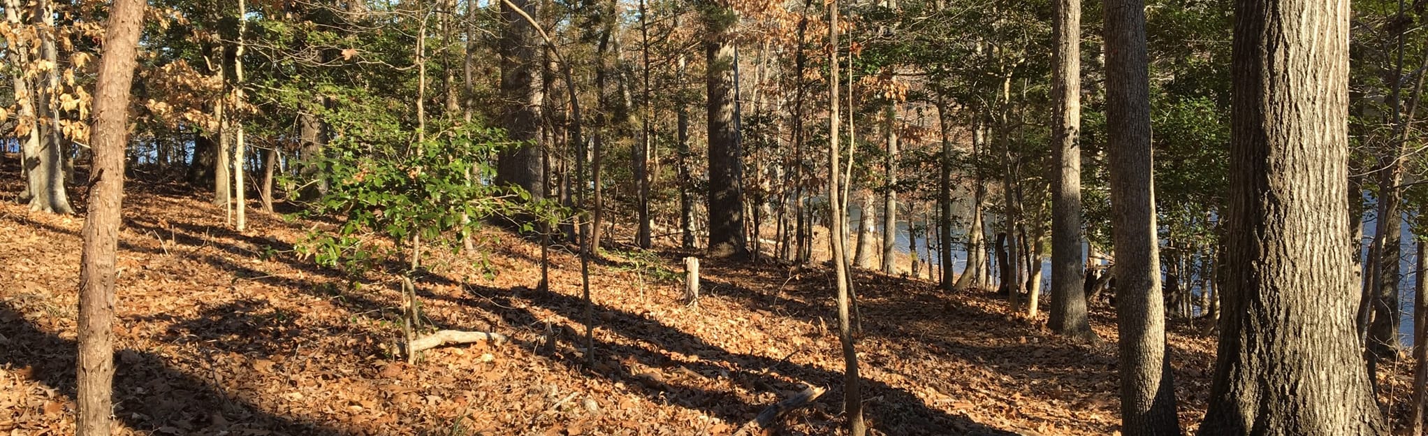 Falls Lake Trail to Blue Jay Point - EyJidWNrZXQiOiJhc3NldHMuYWxsdHJhaWxzLmNvbSIsImtleSI6InVwbG9hZHMvcGhvdG8vaW1hZ2UvMjAwMzEyNzUvMjNmMWE3N2ExNGM3NzFlZWZkYzdiZjViYzcyMWFkNmQuanBnIiwiZWRpdHMiOnsidG9Gb3JtYXQiOiJqcGVnIiwicmVzaXplIjp7IndpZHRoIjoyMDQ0LCJoZWlnaHQiOjYyNCwiZml0IjoiY292ZXIifSwicm90YXRlIjpudWxsLCJqcGVnIjp7InRyZWxsaXNRdWFudGlzYXRpb24iOnRydWUsIm92ZXJzaG9vdERlcmluZ2luZyI6dHJ1ZSwib3B0aW1pc2VTY2FucyI6dHJ1ZSwicXVhbnRpc2F0aW9uVGFibGUiOjN9fX0=