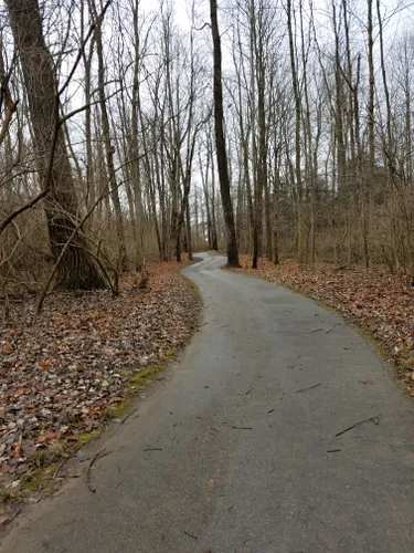 Hummel park walking 2025 trail