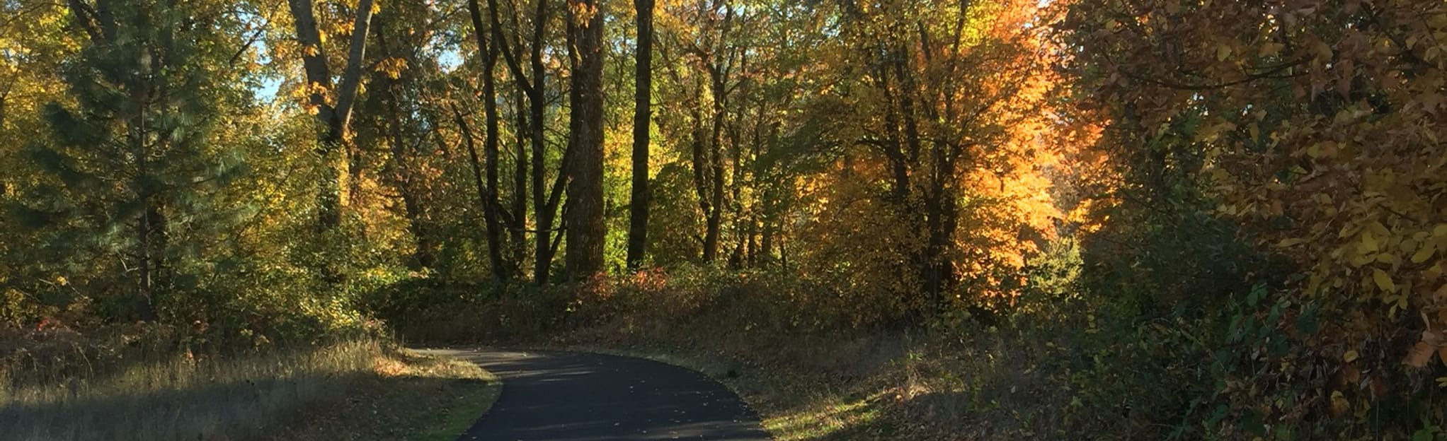 Rogue River Greenway Trail Oregon - EyJidWNrZXQiOiJhc3NldHMuYWxsdHJhaWxzLmNvbSIsImtleSI6InVwbG9hZHMvcGhvdG8vaW1hZ2UvMjAwNDg2OTQvOTA2ZDNmZGUxODYwYWU2NTFjNmQ2OTMzYmU2OGQ5M2UuanBnIiwiZWRpdHMiOnsidG9Gb3JtYXQiOiJqcGVnIiwicmVzaXplIjp7IndpZHRoIjoyMDQ0LCJoZWlnaHQiOjYyNCwiZml0IjoiY292ZXIifSwicm90YXRlIjpudWxsLCJqcGVnIjp7InRyZWxsaXNRdWFudGlzYXRpb24iOnRydWUsIm92ZXJzaG9vdERlcmluZ2luZyI6dHJ1ZSwib3B0aW1pc2VTY2FucyI6dHJ1ZSwicXVhbnRpc2F0aW9uVGFibGUiOjN9fX0=