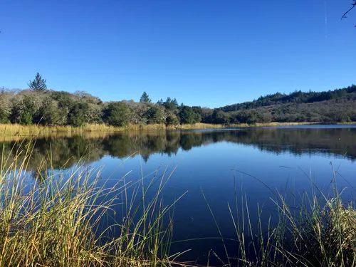 Annadel state discount park mountain biking