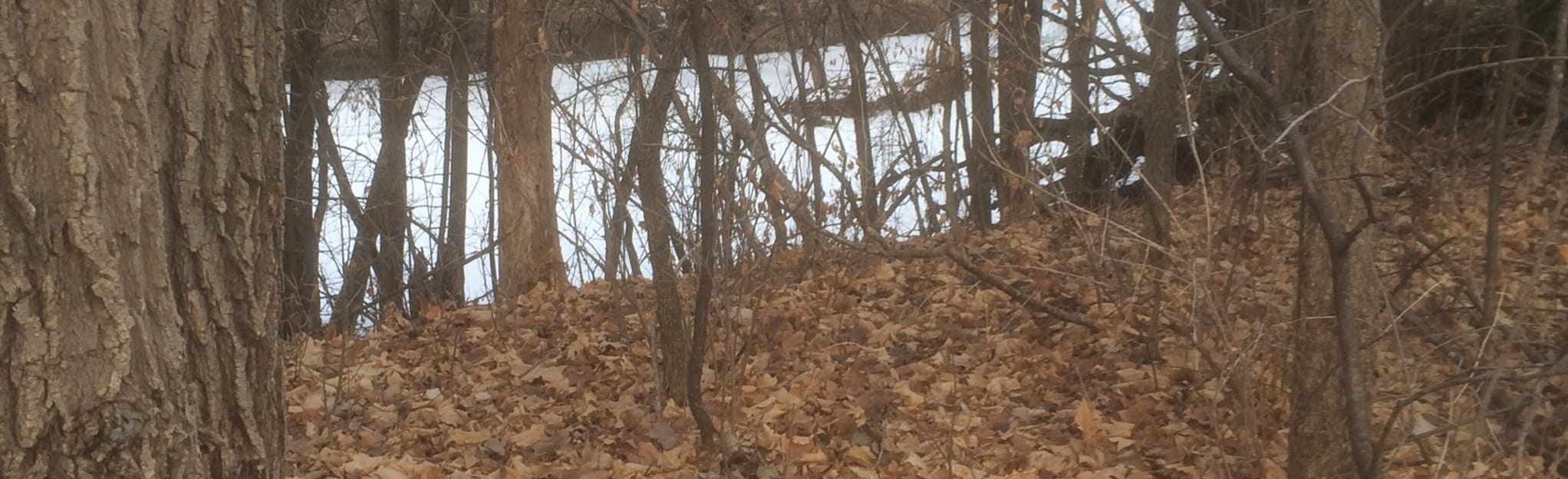 Buffalo Creek Trail, Minnesota 14 Reviews, Map AllTrails