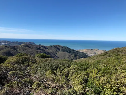 10 Best hikes and trails in San Francisco Peninsula Watershed AllTrails