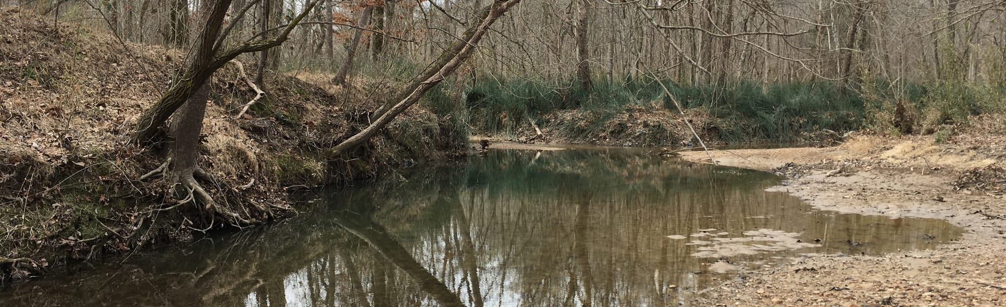 Marker 20 via Equestrian Trail, Arkansas 8 Reviews, Map AllTrails