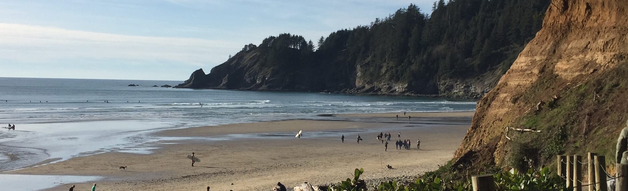 Cape Falcon and Short Sand Beach Trail Loop 215 Reviews, Map Oregon