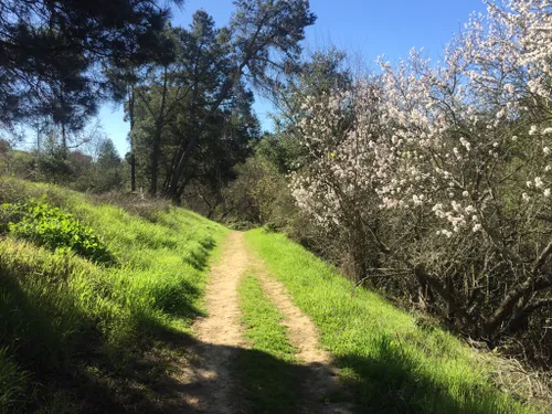 2023 Best 10 Trails And Hikes In Castro Valley Alltrails 9964