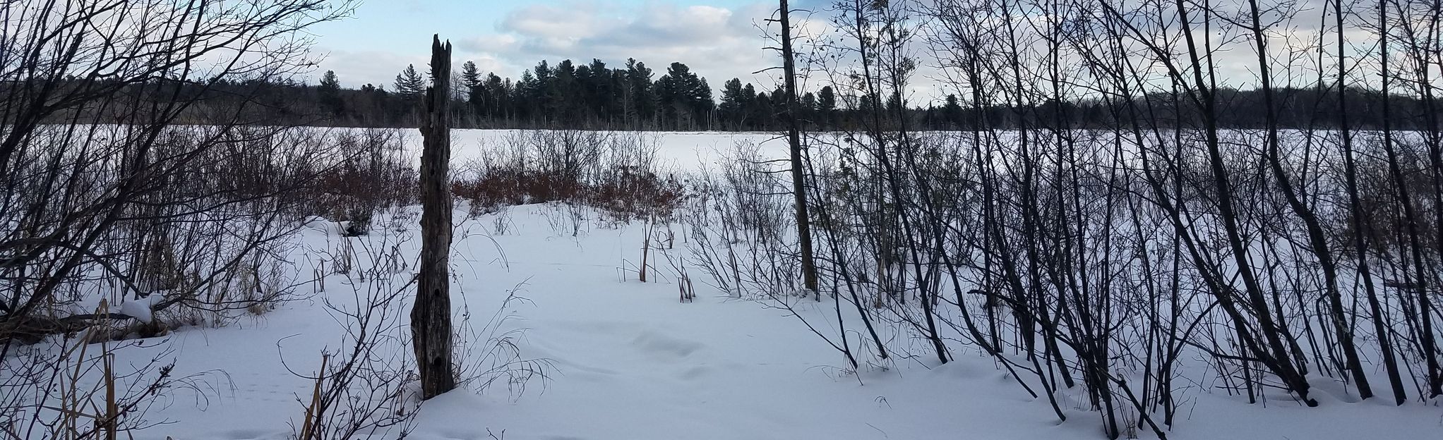 Mud Lake Trail Loop | Map, Guide - Michigan | AllTrails