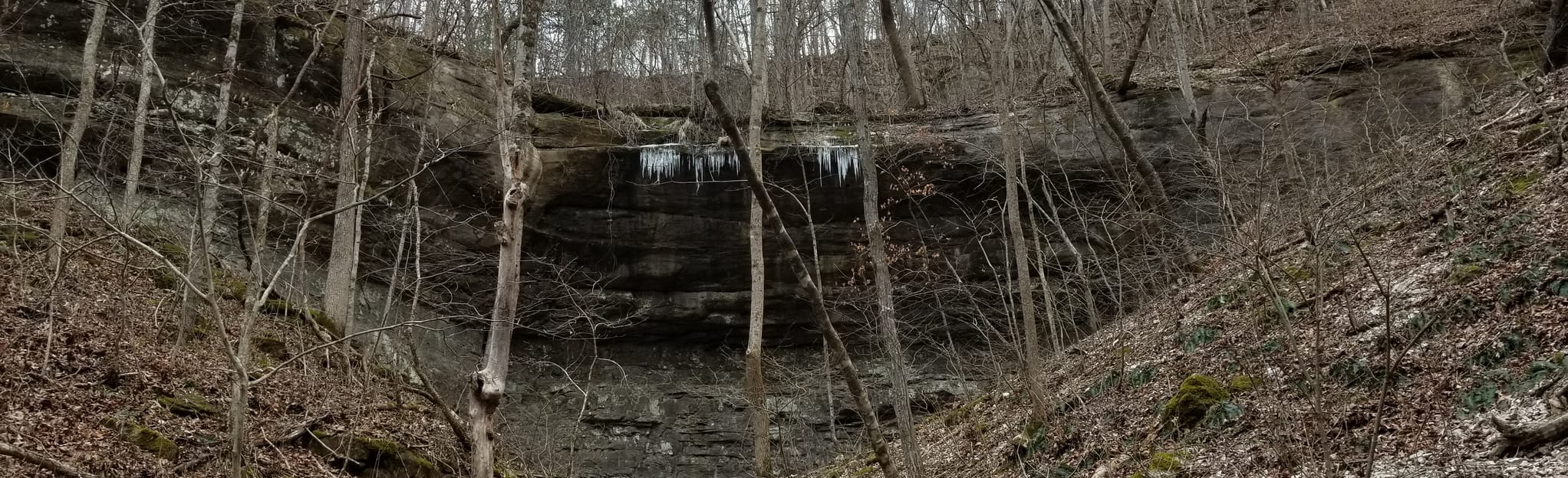 Buffalo River Trail Red Bluff - EyJidWNrZXQiOiJhc3NldHMuYWxsdHJhaWxzLmNvbSIsImtleSI6InVwbG9hZHMvcGhvdG8vaW1hZ2UvMjAxMzA2NDIvNTY1MGE1ZjUyNDA4NzY2MzU3NWZlNzkxNGI4N2U5MjguanBnIiwiZWRpdHMiOnsidG9Gb3JtYXQiOiJqcGVnIiwicmVzaXplIjp7IndpZHRoIjoyMDQ0LCJoZWlnaHQiOjYyNCwiZml0IjoiY292ZXIifSwicm90YXRlIjpudWxsLCJqcGVnIjp7InRyZWxsaXNRdWFudGlzYXRpb24iOnRydWUsIm92ZXJzaG9vdERlcmluZ2luZyI6dHJ1ZSwib3B0aW1pc2VTY2FucyI6dHJ1ZSwicXVhbnRpc2F0aW9uVGFibGUiOjN9fX0=