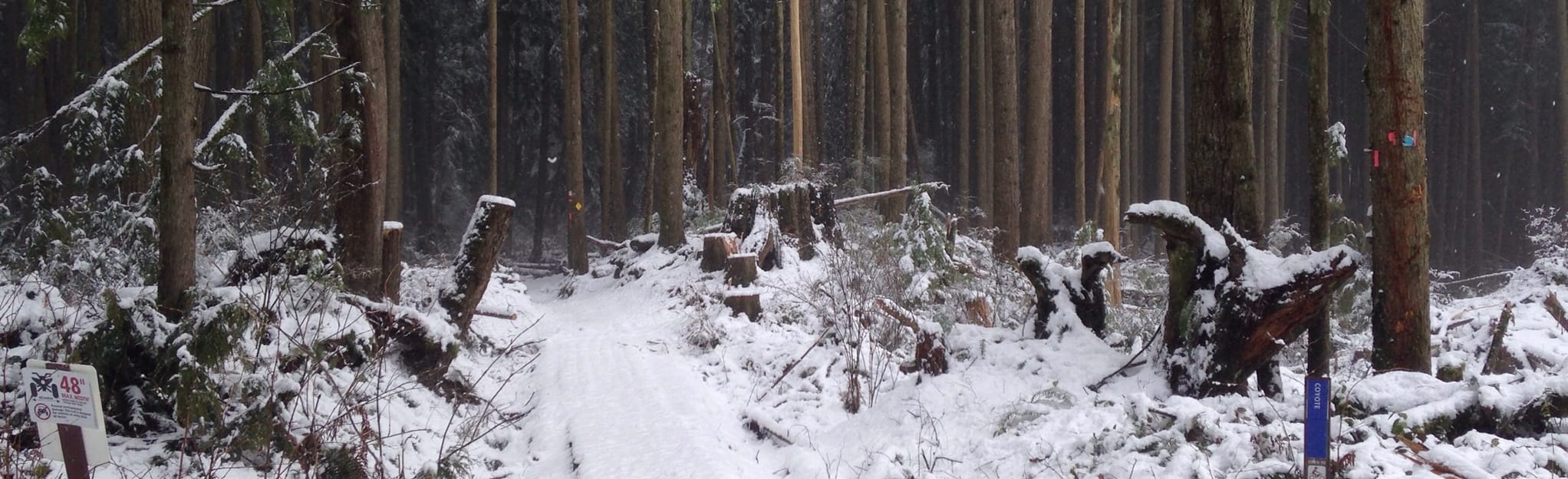 Walker Valley Upper Mainland, WV22 and Bear Creek OHV Loop, Washington