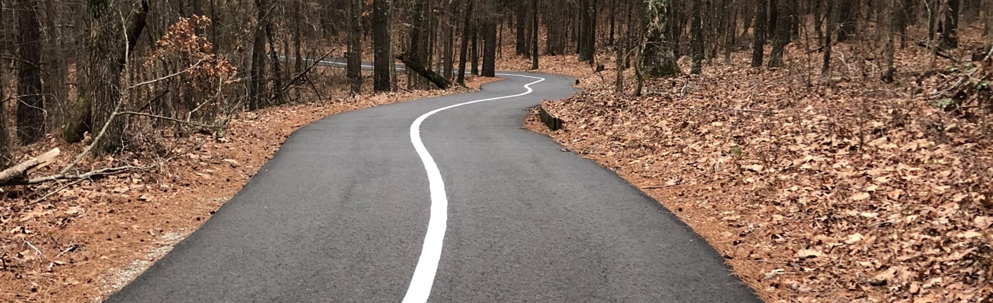 Tribble Mill Trail, 1,403 Reviews, Map AllTrails