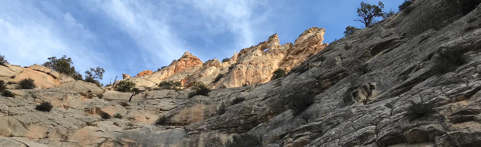 Cottonwood Narrows South to North Trailhead 393 Fotos Utah AllTrails