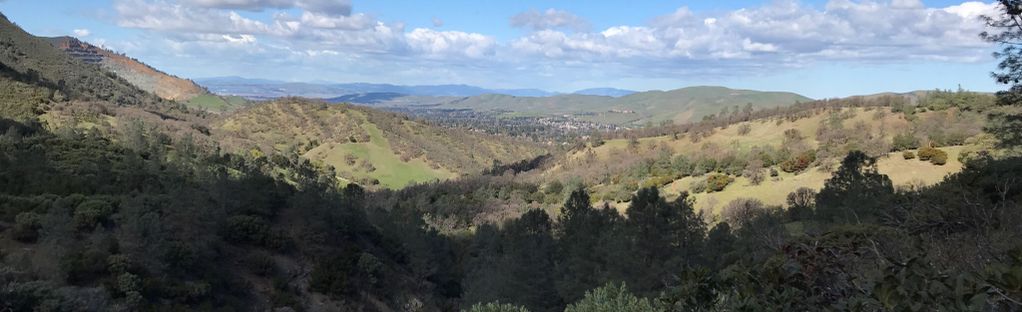 are dogs allowed in mount diablo state park