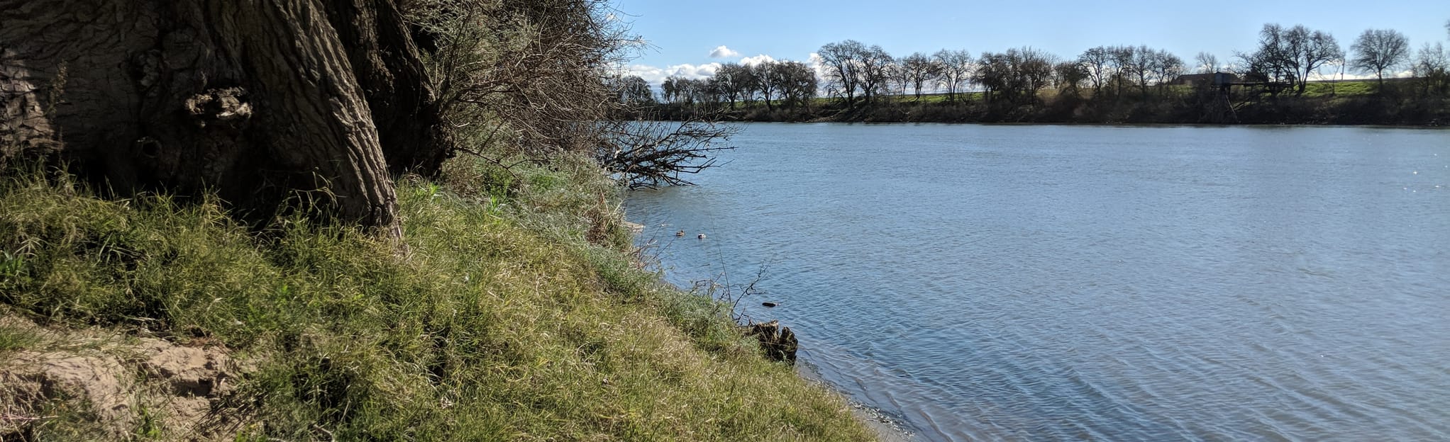 Sacramento River Bike Trail 281 - EyJidWNrZXQiOiJhc3NldHMuYWxsdHJhaWxzLmNvbSIsImtleSI6InVwbG9hZHMvcGhvdG8vaW1hZ2UvMjAxNDgzNDQvOTc0Yzg0ZGQzYjRiY2IzOTIzZWE0NDE1MzYzYTRlMWUuanBnIiwiZWRpdHMiOnsidG9Gb3JtYXQiOiJqcGVnIiwicmVzaXplIjp7IndpZHRoIjoyMDQ0LCJoZWlnaHQiOjYyNCwiZml0IjoiY292ZXIifSwicm90YXRlIjpudWxsLCJqcGVnIjp7InRyZWxsaXNRdWFudGlzYXRpb24iOnRydWUsIm92ZXJzaG9vdERlcmluZ2luZyI6dHJ1ZSwib3B0aW1pc2VTY2FucyI6dHJ1ZSwicXVhbnRpc2F0aW9uVGFibGUiOjN9fX0=