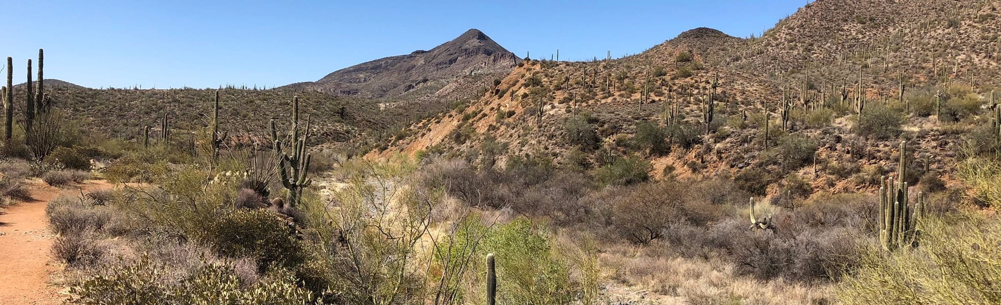 Spur Cross Trail to Metate Trail Loop | Map, Guide - Arizona | AllTrails