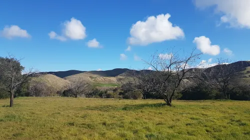 are dogs allowed at del valle regional park