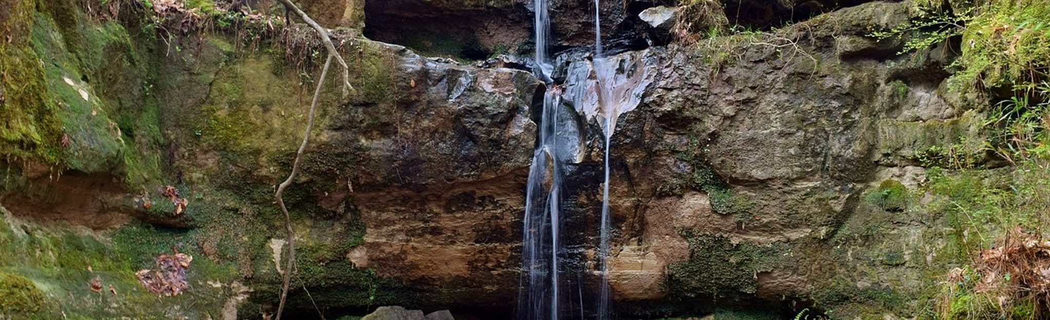 AllTrails Rock Falls Trail 44 Reviews, Map Louisiana