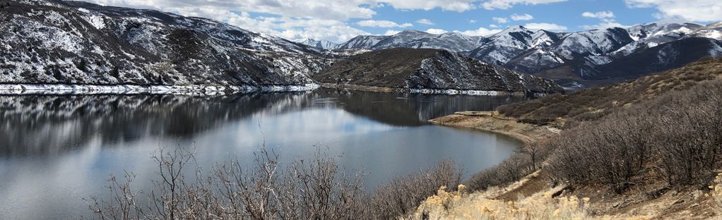 are dogs allowed at jordanelle reservoir