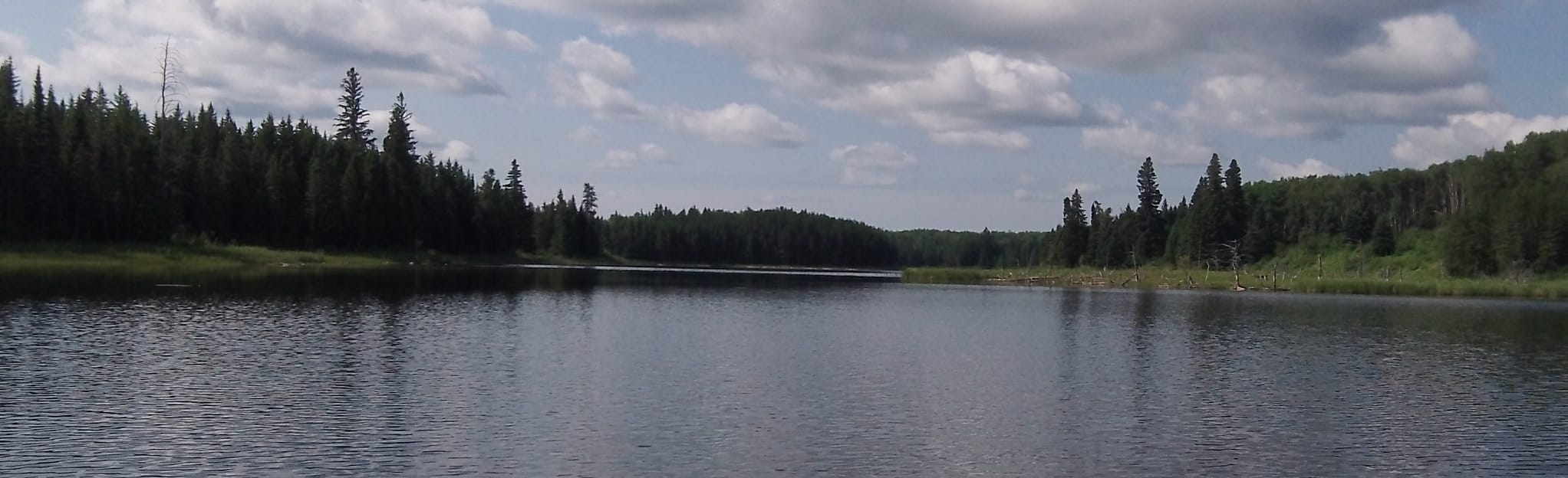 Long Lake Trail 1 Fotos Saskatchewan, Kanada AllTrails