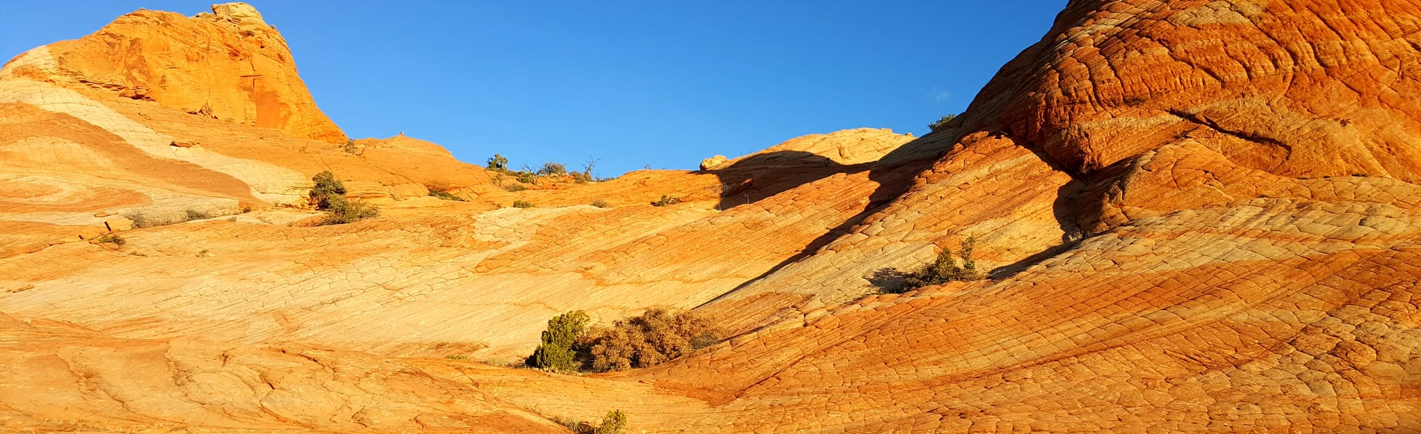 Yant Flats to Candy Cliffs and Yellow Top Utah AllTrails
