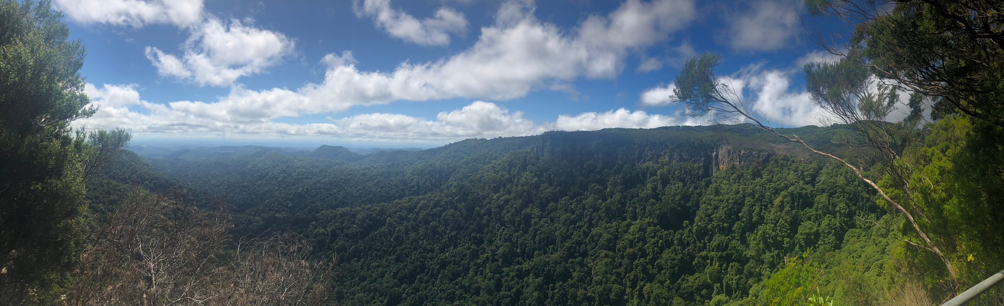 Springbrook Pinnacle Loop, Queensland, Australia 199 Reviews, Map